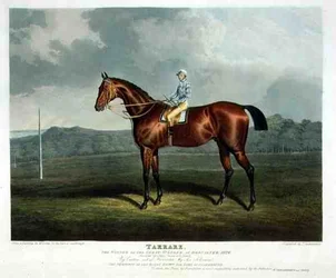 Tarrare, de winnaar van de Great St. Leger in Doncaster