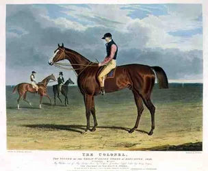 The Colonel, de Winnaar van de Grote St. Leger Stakes in Doncaster