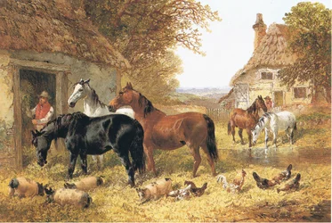 Paarden in een boerenerf
