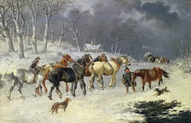 Paarden in de sneeuw