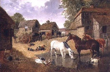 Het laden van de hooikar