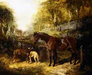 Pony en windhonden in een landschap