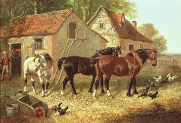 De ploegpaarden voorbereiden