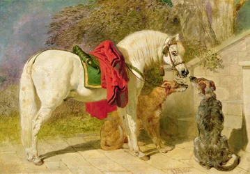 De huisdieren van de landeigenaar