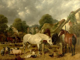 Paarden in een Weide
