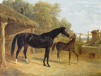Lichtzinnigheid, eigendom van J.C. Cockerill Esq., met haar veulen Queen Elizabeth, eigendom van Lord Dorchester, 1843