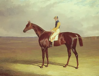 Mr. M. Stanleys Kruk op Newmarket Heath, 1833