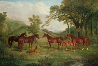 De Streatlam Stoeterij, Merries en Veulens, 1836