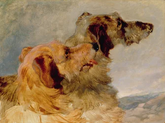 Twee hertenhonden, 1851