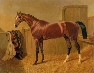 Onbekend schilderij