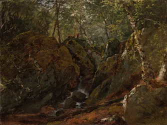 Waterval van Catskill
