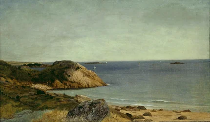 Rotsachtige kust
