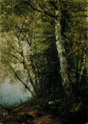 Studie van beuken