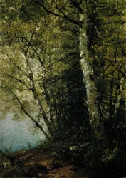 Studie van beuken, 1872