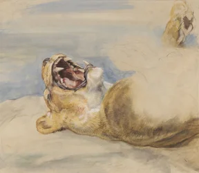 Studie van een Leeuwin