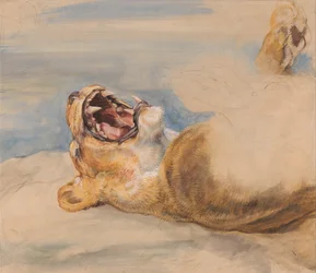 Studie van een leeuwin