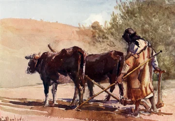 Ploegen op de Olijfberg, 1902