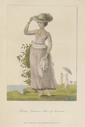 Vrouwelijke quadroonslavin van Suriname