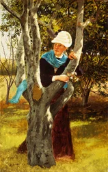 Tussen de bomen