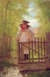 De wildebras, 1873