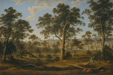 Launceston en de rivier de Tamar