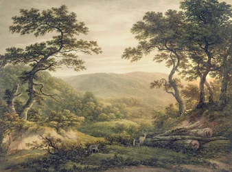 Naaldbos, Hampshire