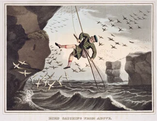 Vogelvangst van boven, gegraveerd door Matthew Dubourg, gepubliceerd door Edward Orme, 1813