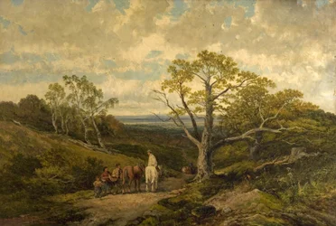 Uitzicht in Sherwood Forest, Nottinghamshire