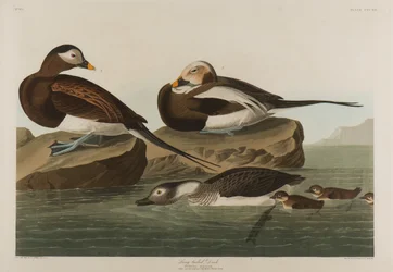 IJseend, 1836