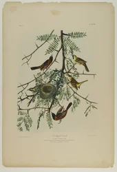 Boomgaard Wielewaal, gedrukt door Julien Bien en uitgegeven door Roe Lockwood & Son, 1861