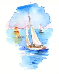 Zeilboten, 2017