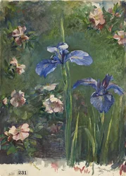 Wilde rozen en irissen