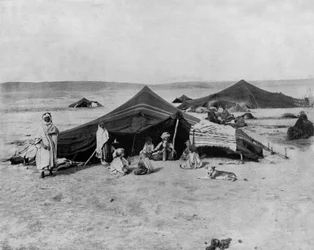 Kamp in de Sahara, Afrika