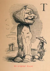 Een originele Druïde, c1860