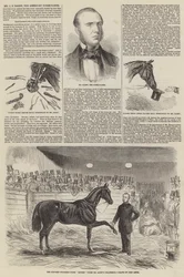 Mr J S Rarey, de Amerikaanse paardentemmer