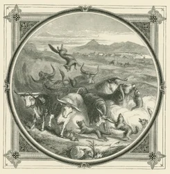 Wanneer de wolf komt, stoppen de ossen met vechten om zich te verenigen in zelfverdediging