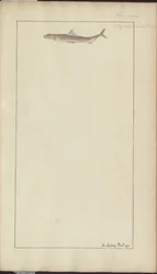 Lindsay Tekeningen Vol. VII, 23