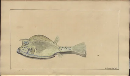 Lindsay Tekeningen Vol. VII, 25