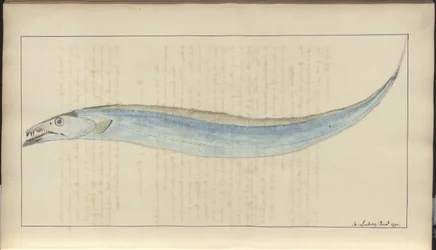 Lindsay Tekeningen Vol. VII, 9