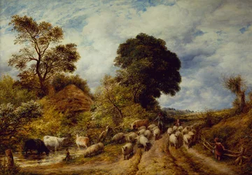 Een landweg
