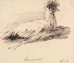 Een hen