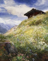 Een alpenweide, Zwitserland