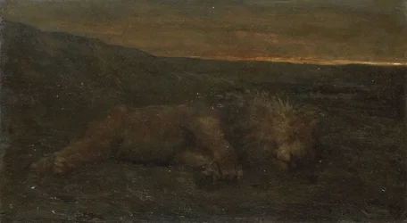 Slapende leeuw bij nacht