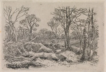 Gehakt hout, Burningham