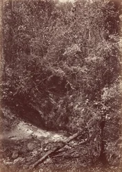 Expeditie Darien, 1871 (foto)
