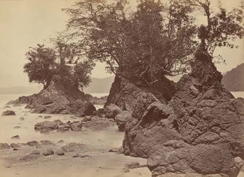 Eilanden, Limon-baai,1871 (foto)
