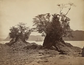 Eilanden in Limón Bay, 1871