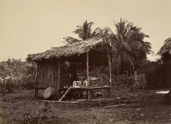 Tropisch landschap, inheems hut, Turbo