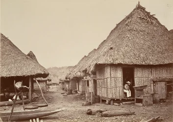Tropisch landschap, straat, Chipigana