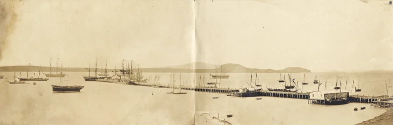 Haven van Auckland, 1865